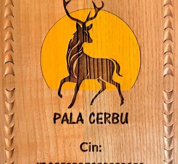 Mogoro House | Pala Cerbu