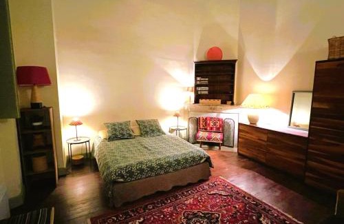 Avignon City Centre Apartment | Palais des Papes - Spacious Historic Apartment in Private Mansion ! Free PARKING Nearby ! Spacieux Appartement Historique dans Hôtel Particulier ! PARKING à proximité Offert !