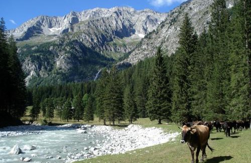 Caderzone Terme Hotel | Palazzo Lodron Bertelli. Dimora Storica & Spa