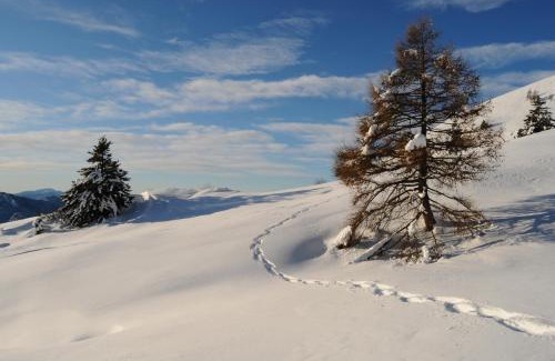 Caderzone Terme Hotel | Palazzo Lodron Bertelli. Dimora Storica & Spa