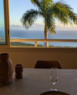 Les Avirons Apartment | Palm View