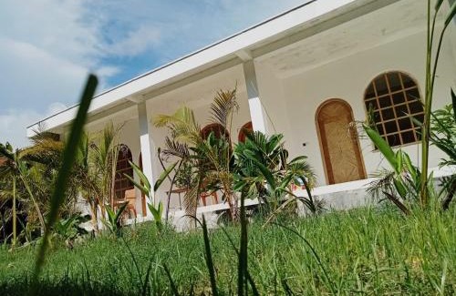 Kuta Hotel | Palmhouse Boutique Hotel