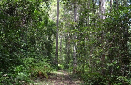Palmwoods House | Palmwoods Eco Escape
