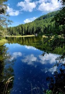 Laßnitz bei Murau Apartment | Panorama Apartment Bauernhof Mandl