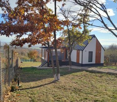 Oradea House | Panorama retreat