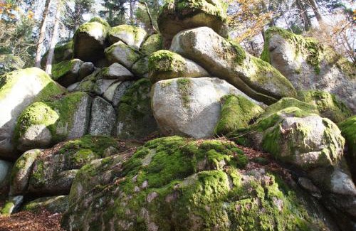 Ruderszell Apartment | Panoramablick Höllbachtal