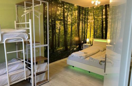Hohegeiß Apartment | Panoramic Hohegeiß App 646 u 647 mit WLan