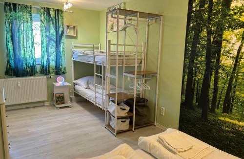 Hohegeiß Apartment | Panoramic Hohegeiß App 646 u 647 mit WLan
