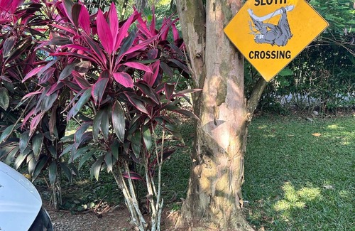 Cahuita House | "paraíso en Cahuita: Tu Casa a un Paso del Parque Nacional 🌴🏡"