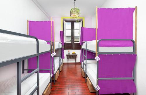 San Cristobal de La Laguna Hostel | Patio Hostel