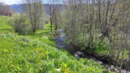 Formigueres Apartment | Pause nature à Formiguères Logement familial