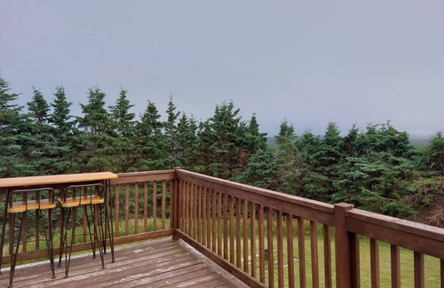 Freeport House | Peace, Cozy & Vibes - Island living w/water views, trails & modern comforts
