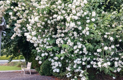 Brickens House | Peaceful and beautifully decorated cottage in the heart of the countryside.