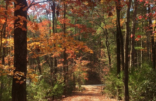Mountain Rest House | Peaceful Lake Retreat for up to 16 guests featuring gorgeous fall foliage.