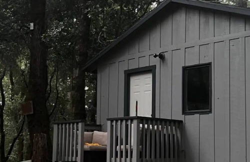La Honda Apartment | Peaceful Small Studio /Cabin is 100 years old with WiFi in La Honda Forest