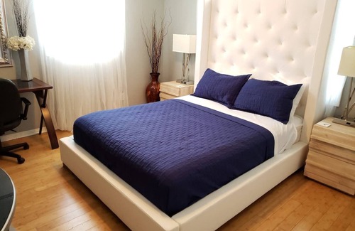 Disston Heights House | Peacock Paradise with Pool & Wild Peacocks 🦚🌴🌞