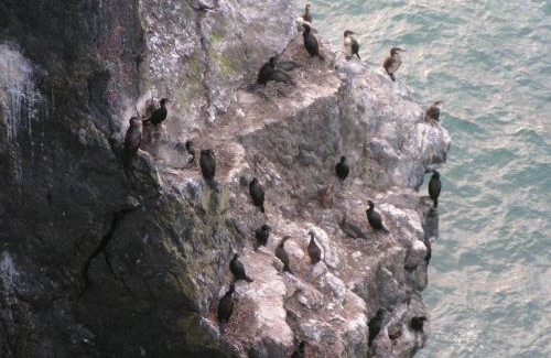 Trefor House | Pen Llyn Quarryman's Cottage