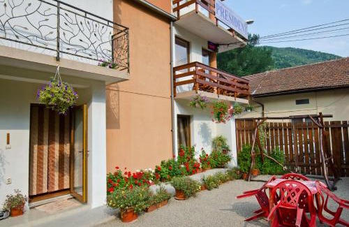 Baile Herculane House | Pension President