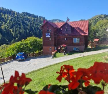 Vadu Motilor Cabin | Pensiunea Cabana Viselor ,Apuseni
