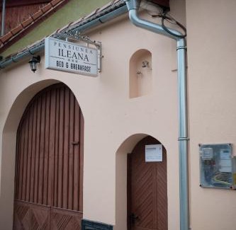Orlat Bed & Breakfast | PENSIUNEA ILEANA "Adults Only"