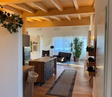 Vils Apartment | Penthouse 17 Vils