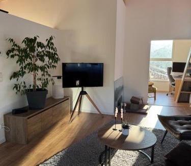 Vils Apartment | Penthouse 17 Vils