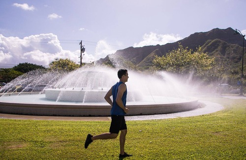 Kaka'ako House | Penthouse Floor, Ocean Views, Lanai, Pool, Hot Tub, Gym, Rec-Room, & Playground