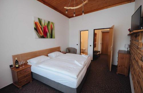 Harrachov House | Penzion Mona Rooms & Apartments