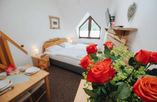 Harrachov House | Penzion Mona Rooms & Apartments