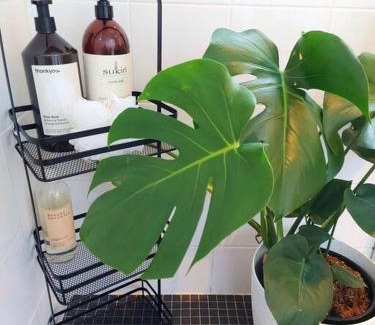 Chippendale Apartment | Perfect and modern Studio, Broadway-Chippendale