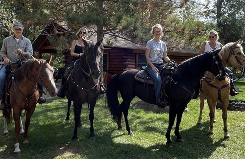 Mountain Cabin | Perfect for Families & Friends, Pet Friendly, Horse Theme, Log Cabin, Fireplace