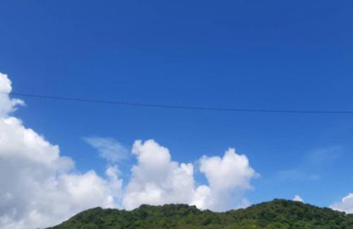 Cayenne Apartment | Perle des mers