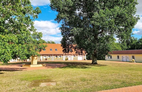 Passow Apartment | Pet friendly apartment