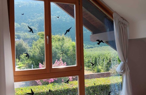 San Michele All'adige Apartment | Pet Friendly Sally House