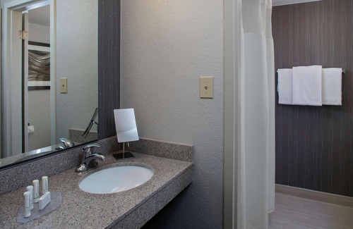 Norcross Hotel | Pet Friendly ADA King Room w/Free Parking, Swimming Pool & Gym Access!