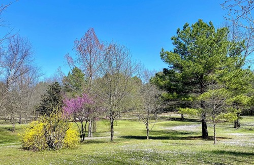 Plainview Cabin | Pet friendly cabin in quiet Plainview with WiFi, AC