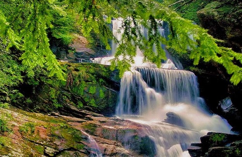 Saluda Cabin | Pet-Friendly Glamping Retreat near Big Bradley Falls and Melrose Falls!