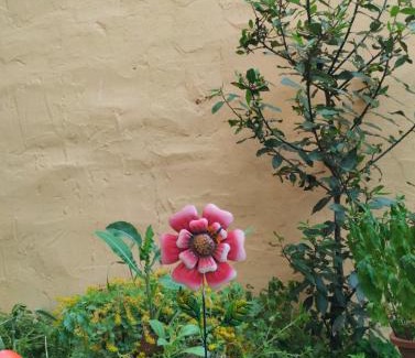 Sebulcor House | Pet friendly La Golondrina del Duratón