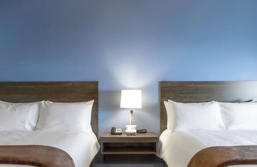 Midland Hotel | Pet-Friendly Room w/Kitchen & Convenient Access to Midland Attractions!