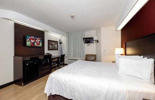 Palm Coast Hotel | Pet-Friendly Stay Near Palm Coast Marina w/Outdoor Pool, Garden & Free Parking!