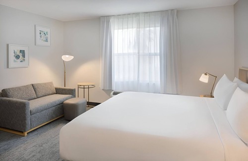 Westshore Hotel | Pet-Friendly Studio with Full Kitchen Perfect for Extended Stays in Tampa