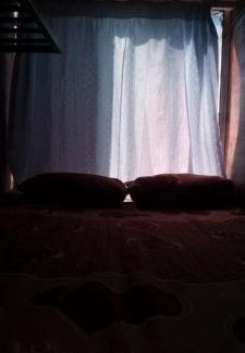 Wadi Musa Hotel | Petra sharing room