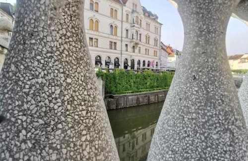 Ljubljana Old Town Apartment | philip mansion