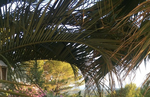 Draguignan Cottage | Photos JARDIN du MIDI