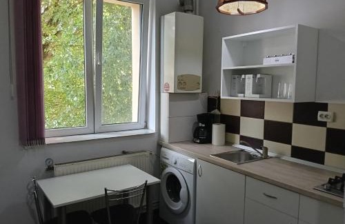 Tirgu Mures Apartment | Piata Armatei 1 camera