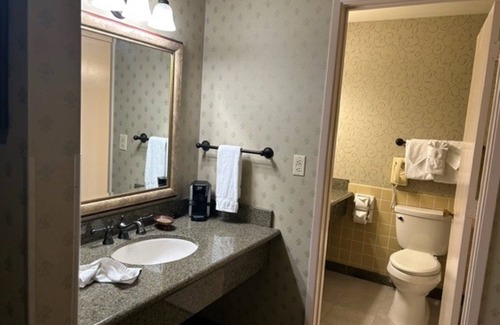 Raisin Hotel | Piccadilly Inn Airport