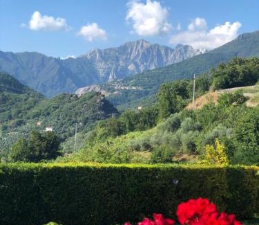 Pietrasanta House | Pietrasanta