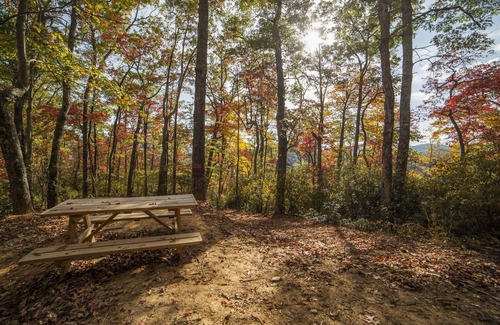 Pisgah Forest Cabin | PILOT COVE Studio Cabin - Modern Luxury w/Nature!