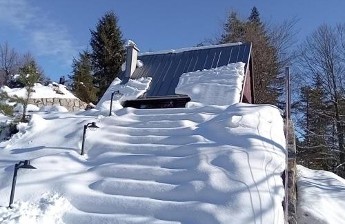 Obcina Brezovica Ski Chalet | Pine Hill RUBY with free jacuzzi