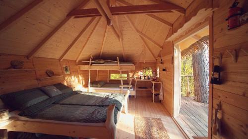 Omsenie Other | Pine Point